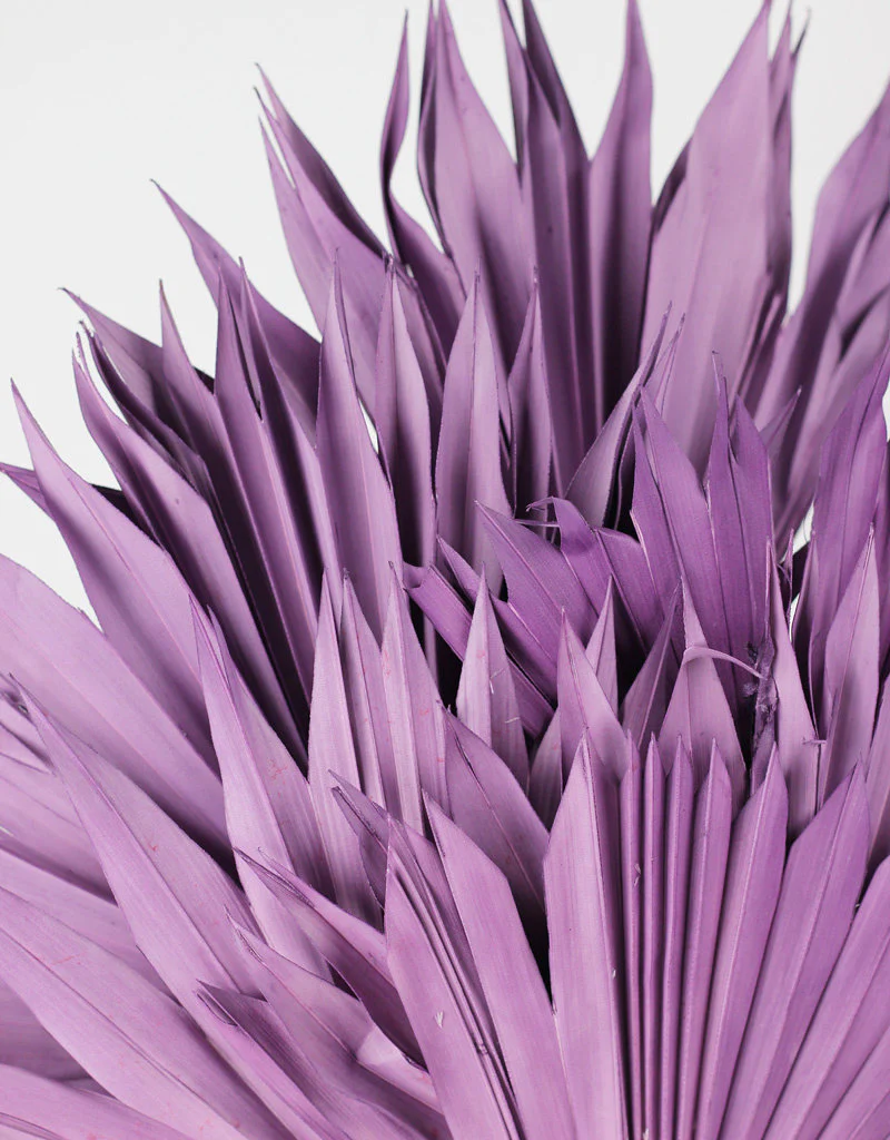 Dried Sun Palms - Lilac, 6 Stems, 60 cm - Image 2