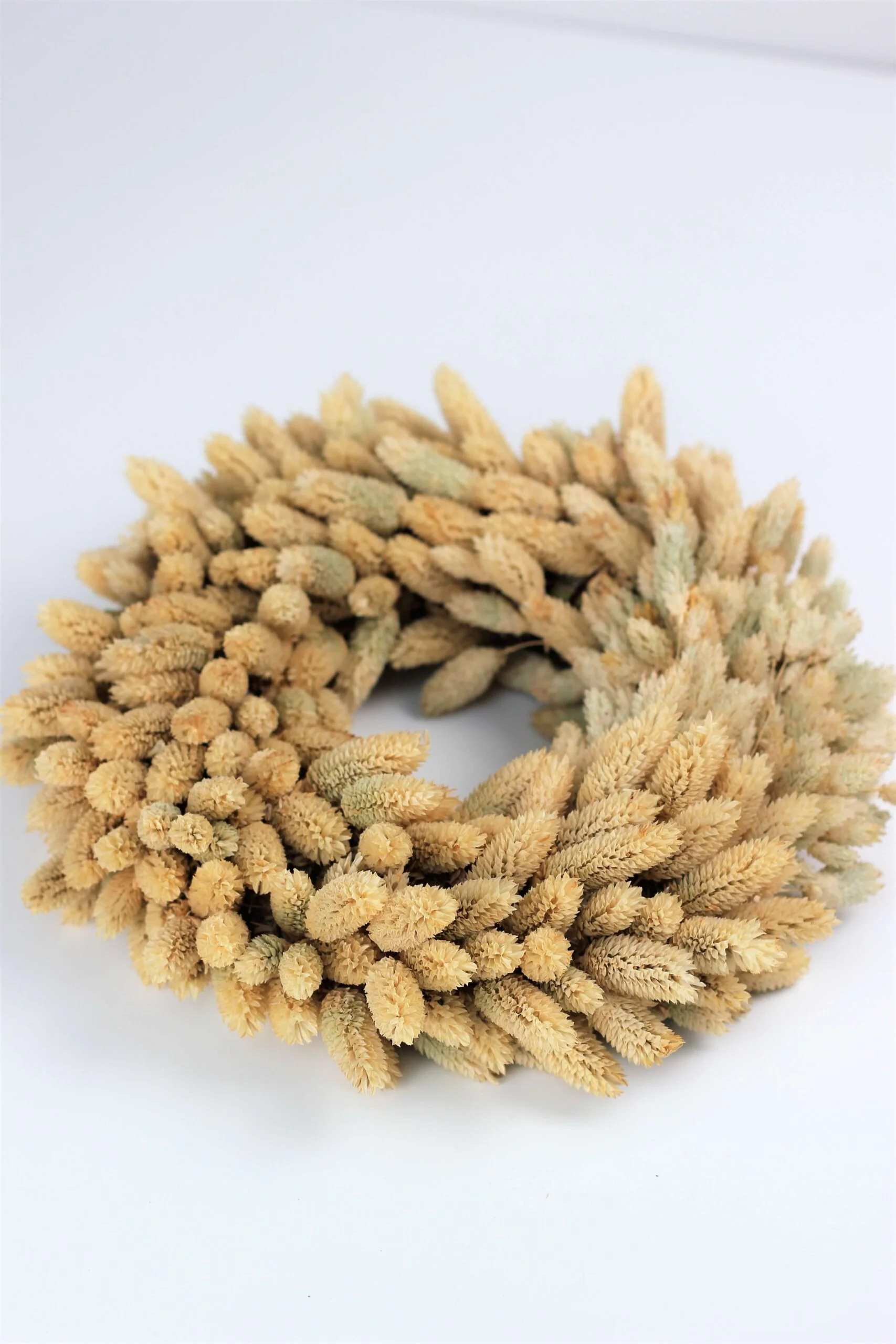 Dried Phalaris Wreath - Natural Selection, 30 cm - Image 2