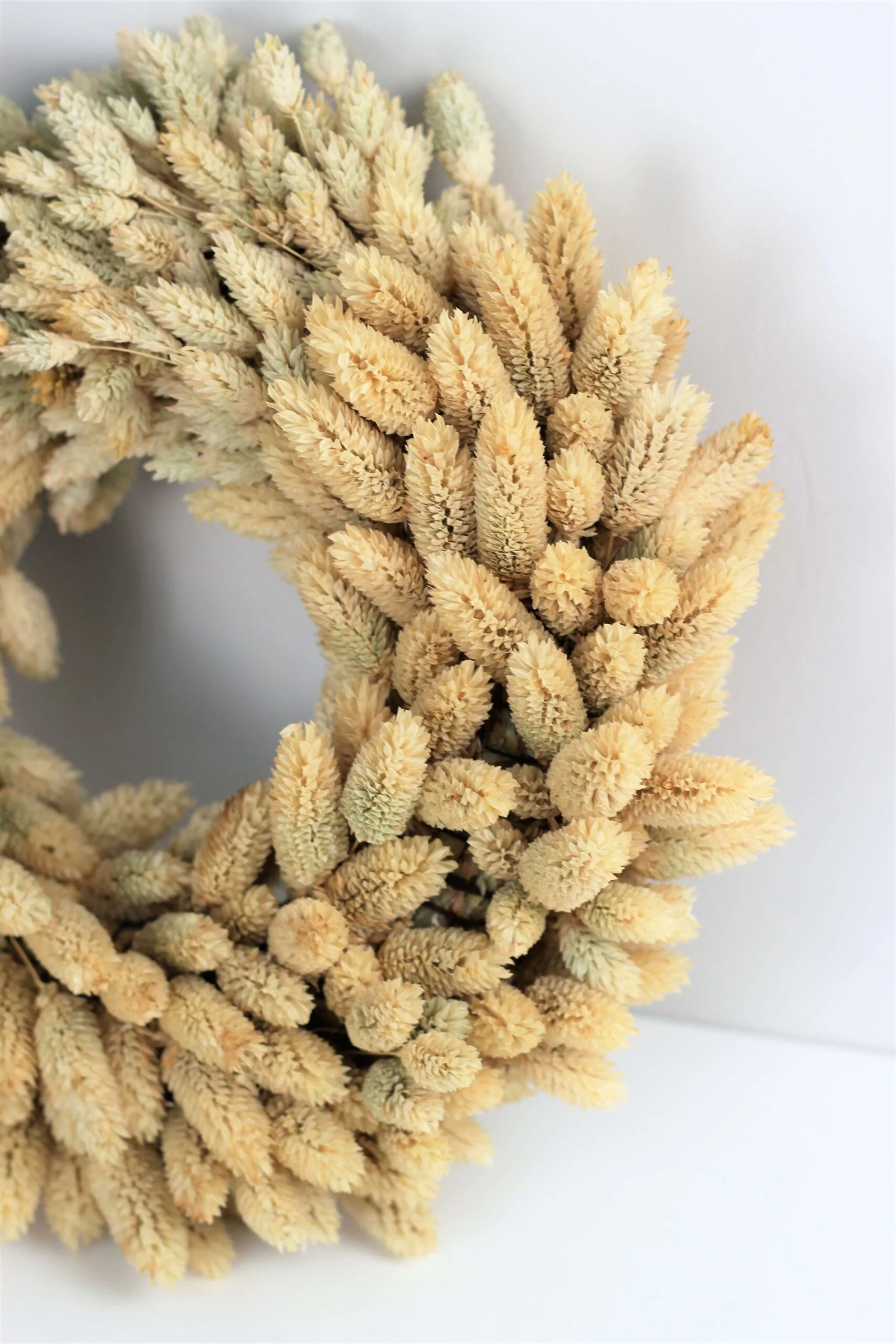 Dried Phalaris Wreath - Natural Selection, 30 cm - Image 3