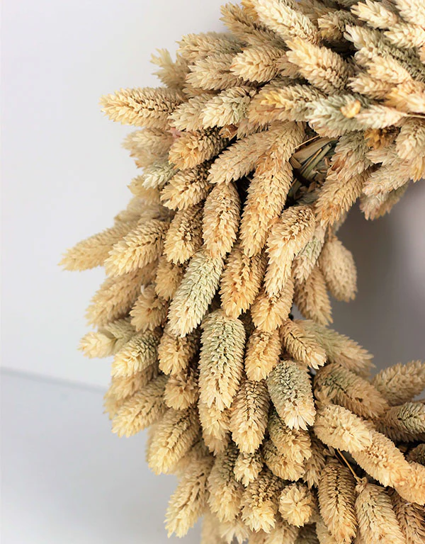 Dried Phalaris Wreath - Natural Selection, 30 cm - Image 4