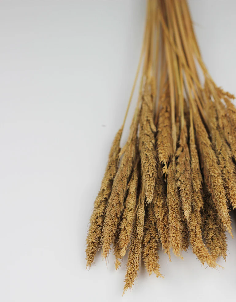 Dried Pinion Grass  - Natural bunch, 60 cm - Image 3