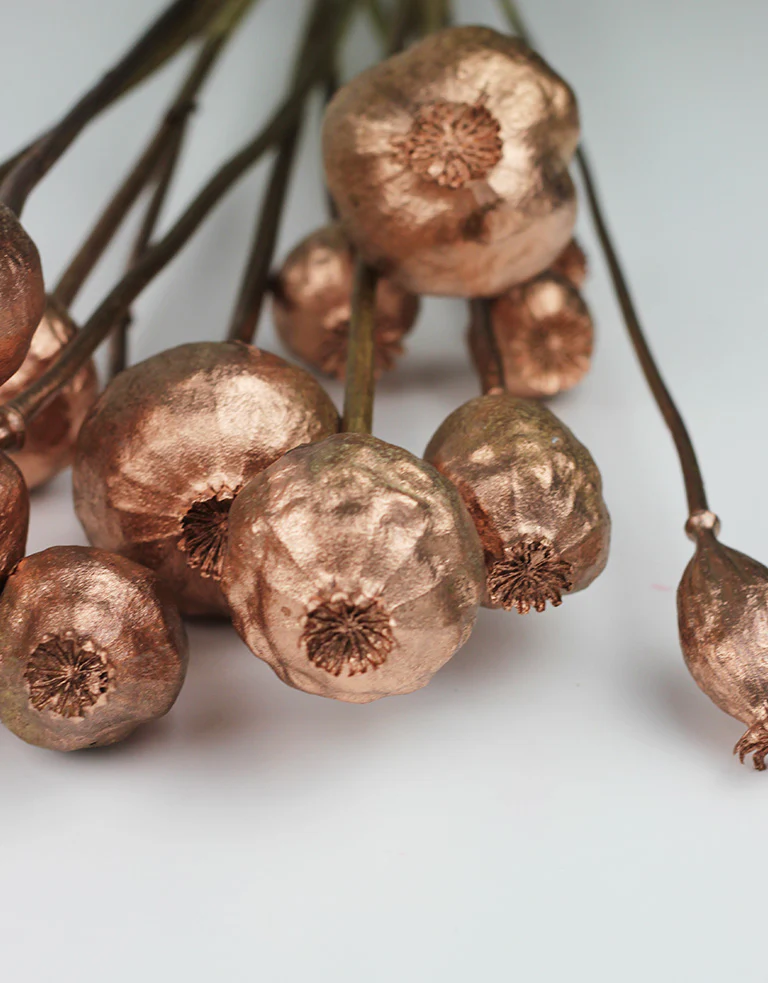 Dried Poppy Heads - Copper Bunch, 65 cm - Image 2