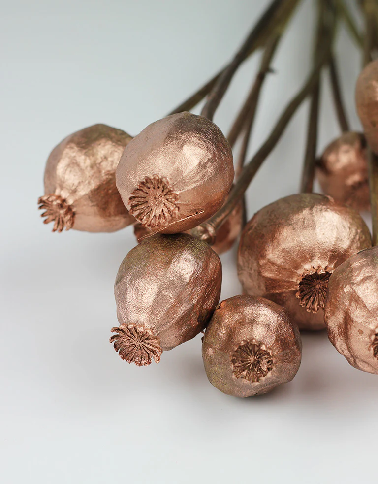 Dried Poppy Heads - Copper Bunch, 65 cm - Image 3