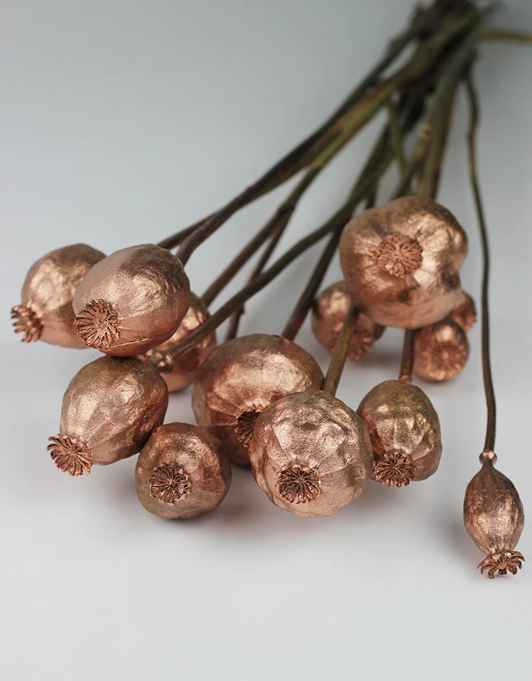 Dried Poppy Heads - Copper Bunch, 65 cm - Image 4
