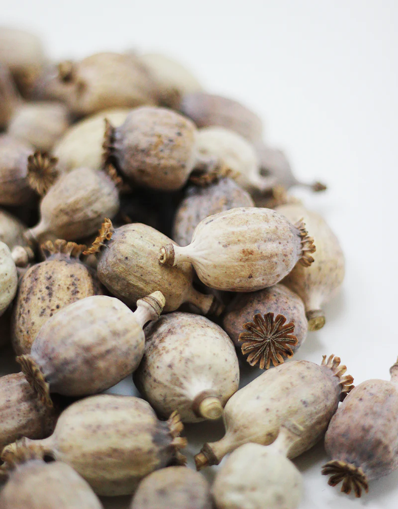 Dried Poppy Seed Heads 200 grams - Natural, Varying Sizes - Image 3