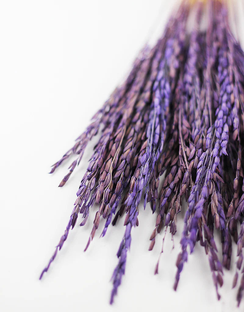 Dried Rice Flowers Bunch- Purple, 55 cm - Image 3