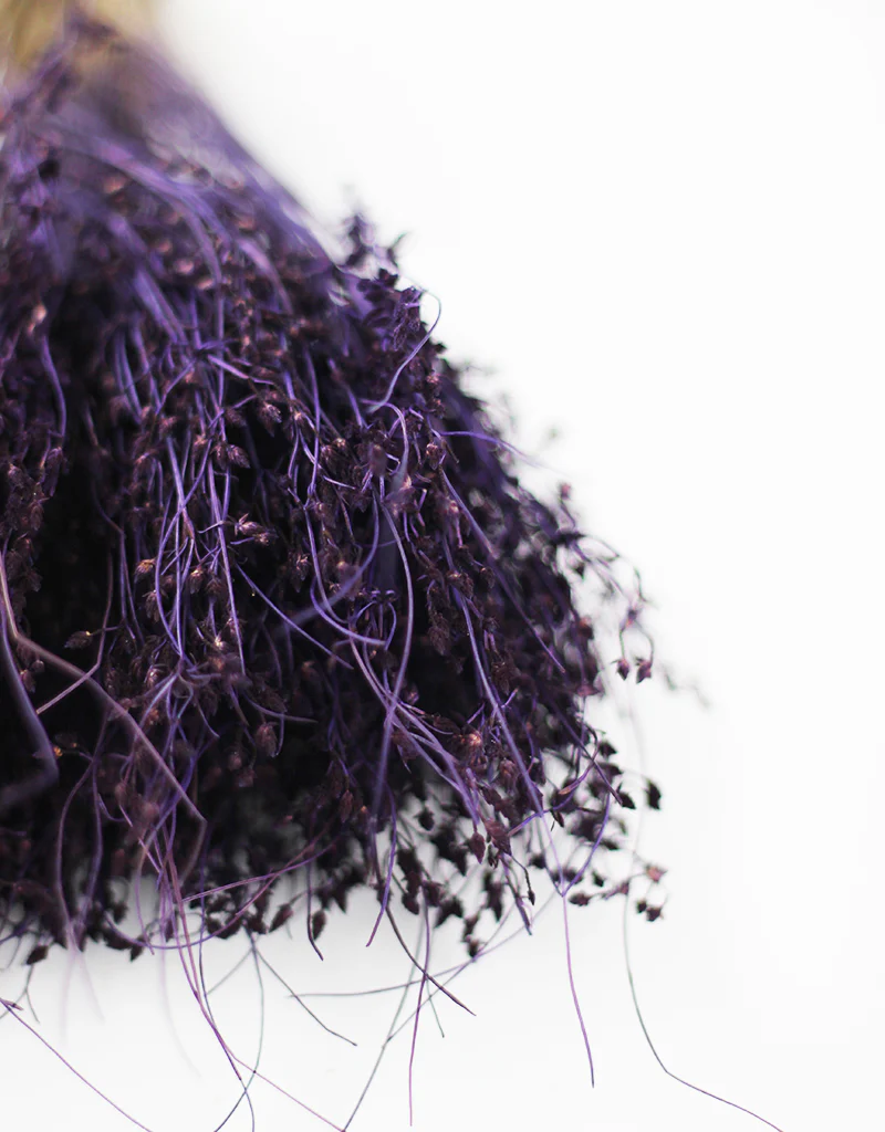 Dried Sai Thong Bunch - Purple, 55 cm - Image 3