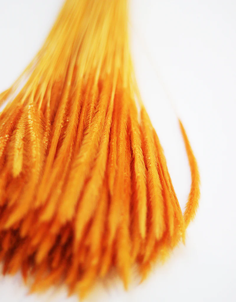 Dried Silk Worm bunch - Orange Flowers Stems, 50cm - Image 2