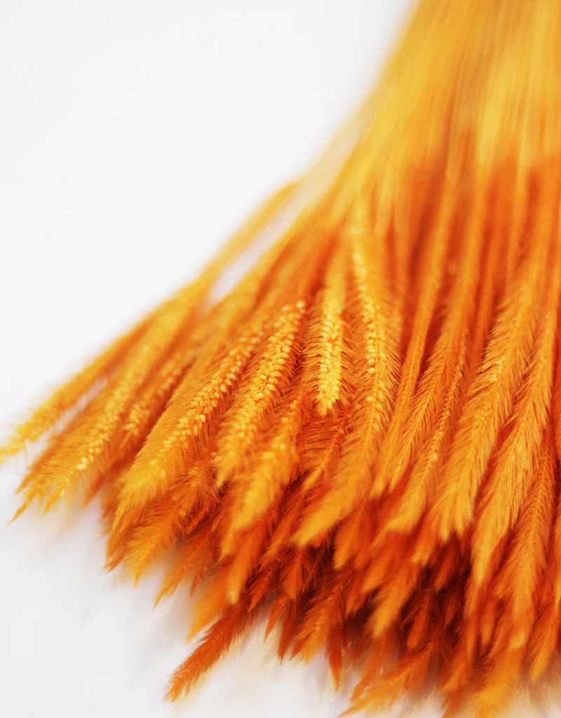 Dried Silk Worm bunch - Orange Flowers Stems, 50cm - Image 3