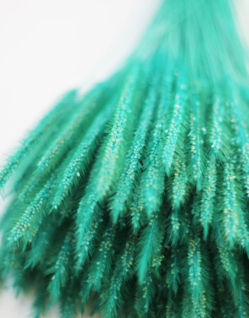 Dried Silk Worm bunch - Turquoise Flowers Stems, 50cm - Image 2