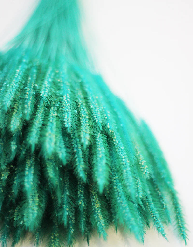 Dried Silk Worm bunch - Turquoise Flowers Stems, 50cm - Image 3