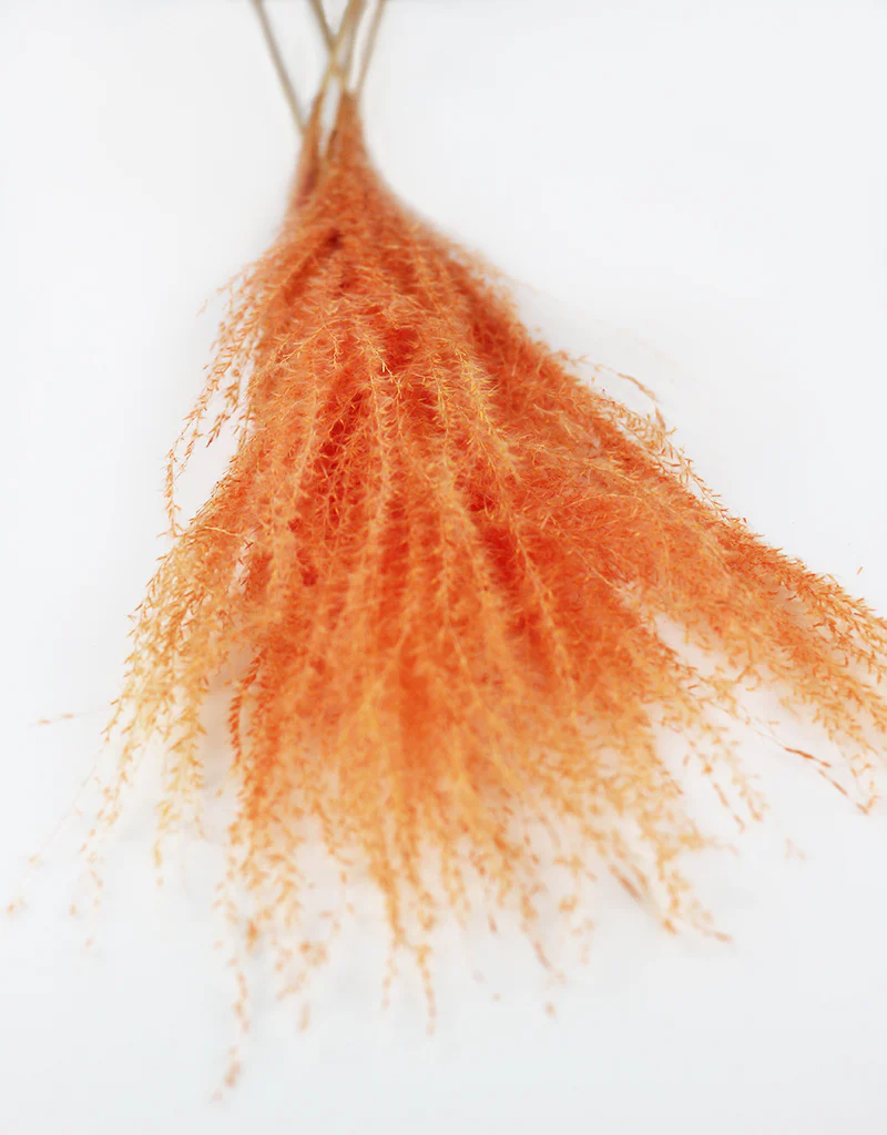 Dried Silver Grass Bunch - XL, Peach, 5 Stems, 80 cm - Image 2