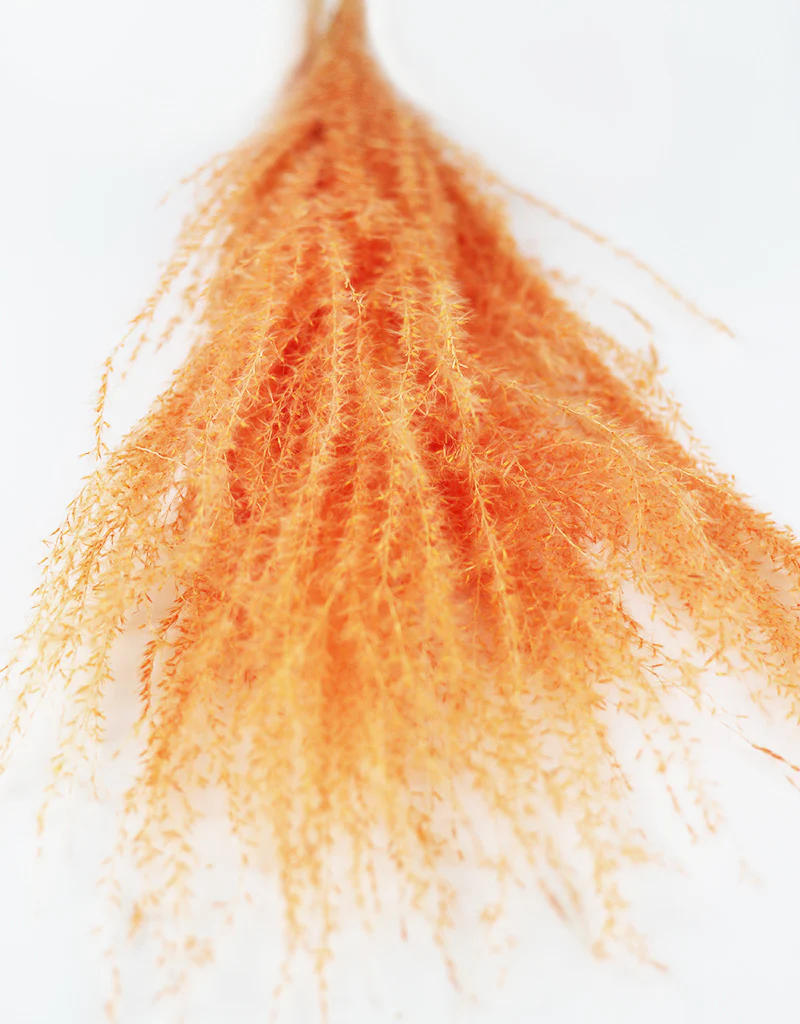 Dried Silver Grass Bunch - XL, Peach, 5 Stems, 80 cm - Image 3