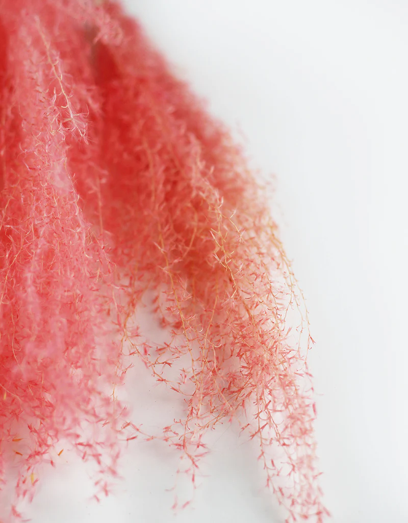 Dried Silver Grass Bunch - XL, Pink, 5 Stems, 80 cm - Image 3