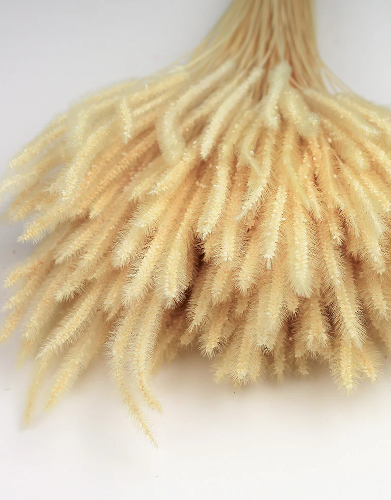 Dried Soft Silk Worm - Bleached Bunch, 50 cm - Image 3