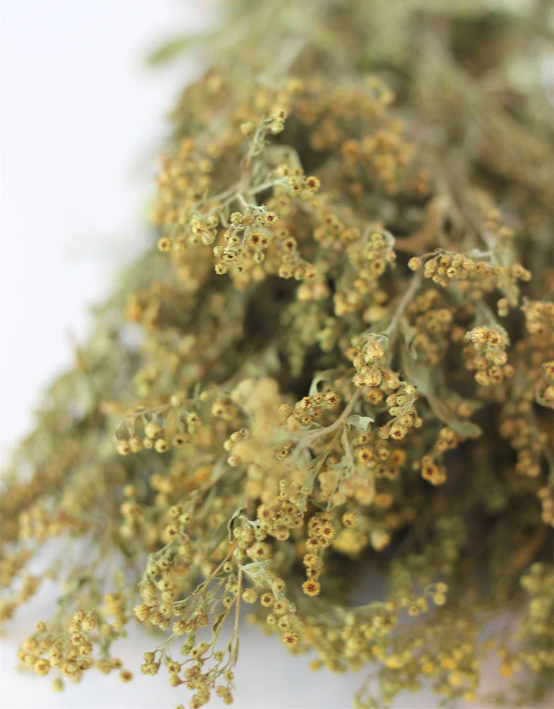 Dried Solidago - Natural Bunch, 10 stems, 70 cm - Image 3