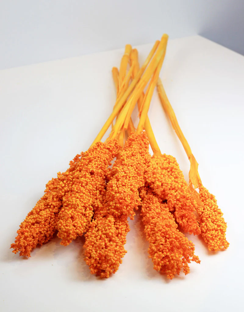 Dried Sorghum - Orange, 6 Stems, 70 cm - Image 4
