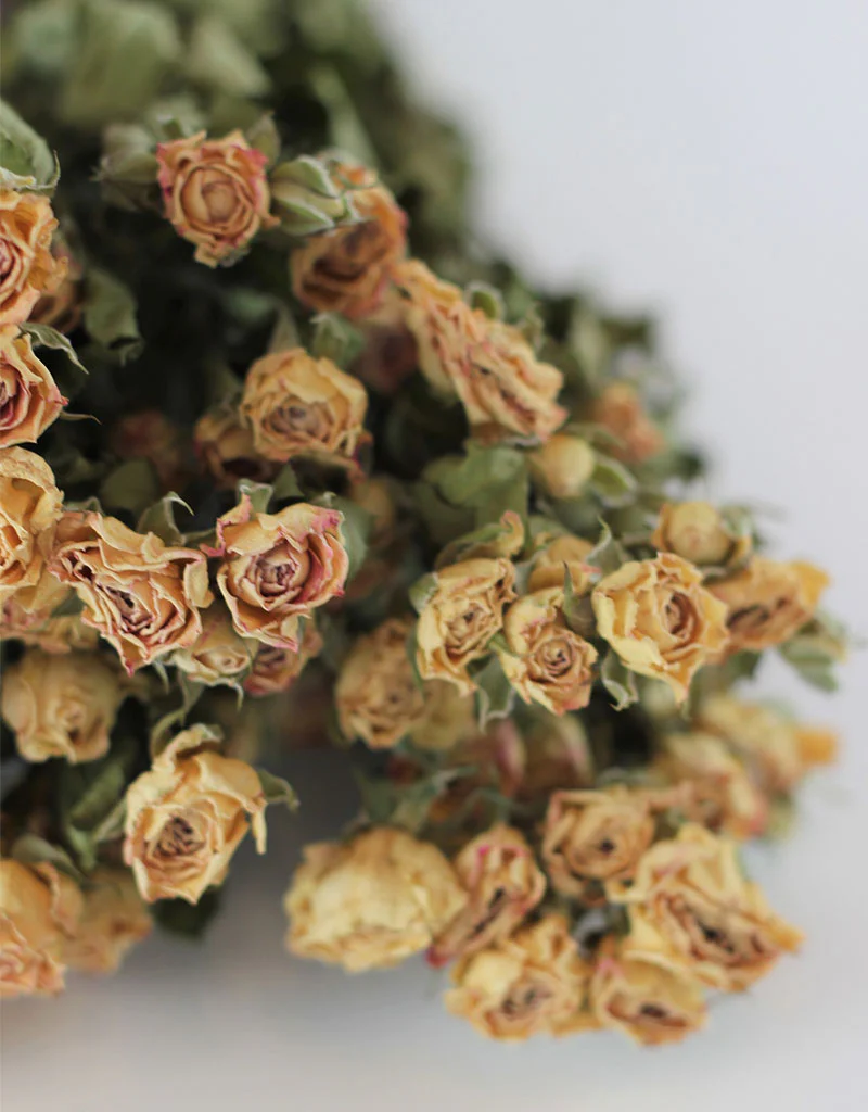 Dried Spray Roses - Apricot/Pink Bunch, 50 cm - Image 3