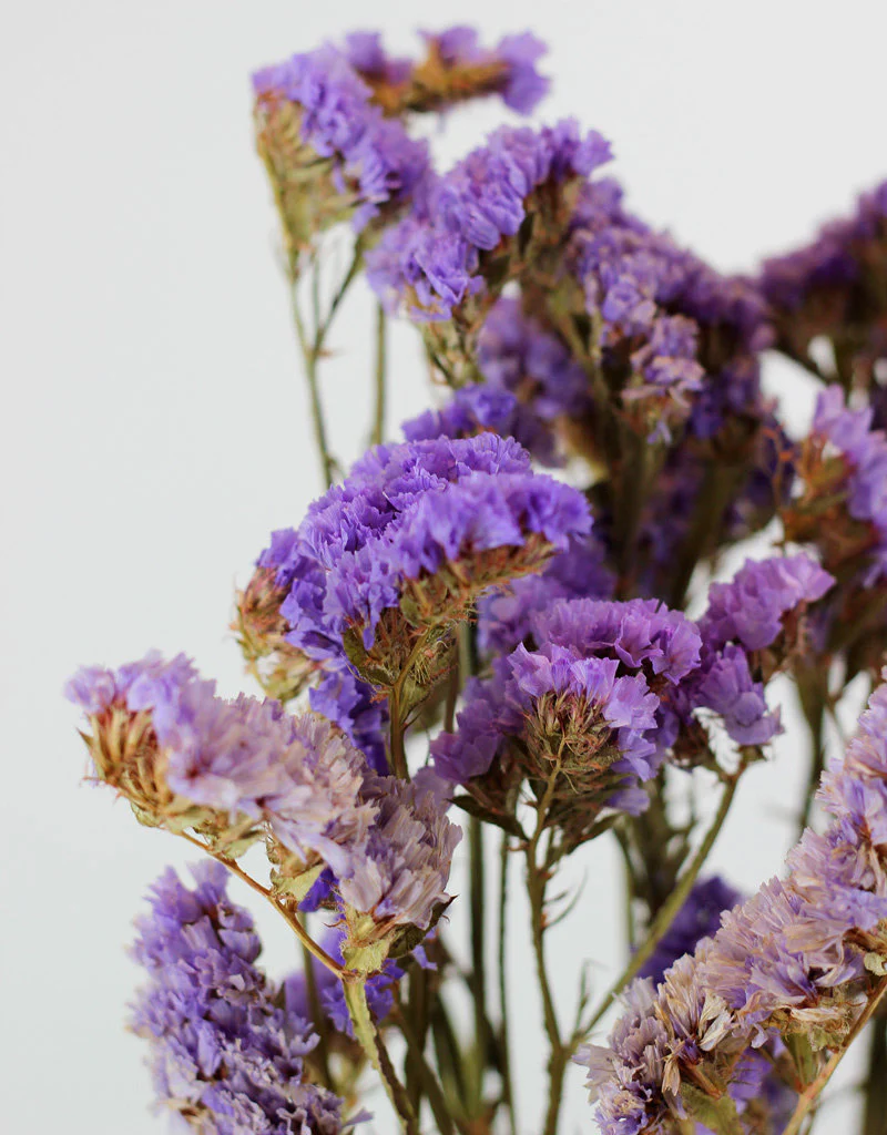 Dried Statice Flowers- Purple Bunch, 55 cm - Image 3