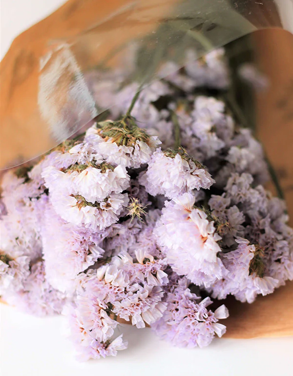 Dried Statice - Pale Lilac Bunch, 55 cm - Image 2