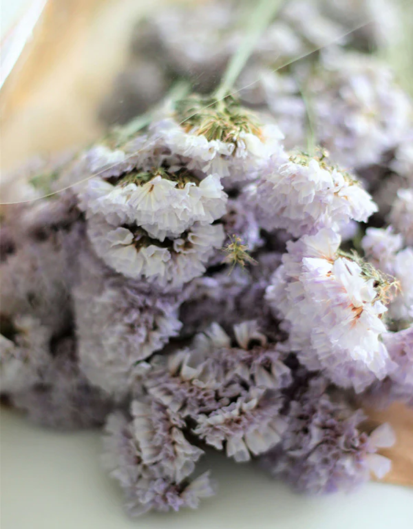 Dried Statice - Pale Lilac Bunch, 55 cm - Image 3