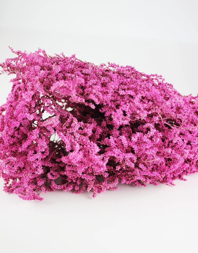 Dried Statice Tatarica Dumosa Cerise Pink Flower Bunch - 100 grams, 25-30cm - Image 3