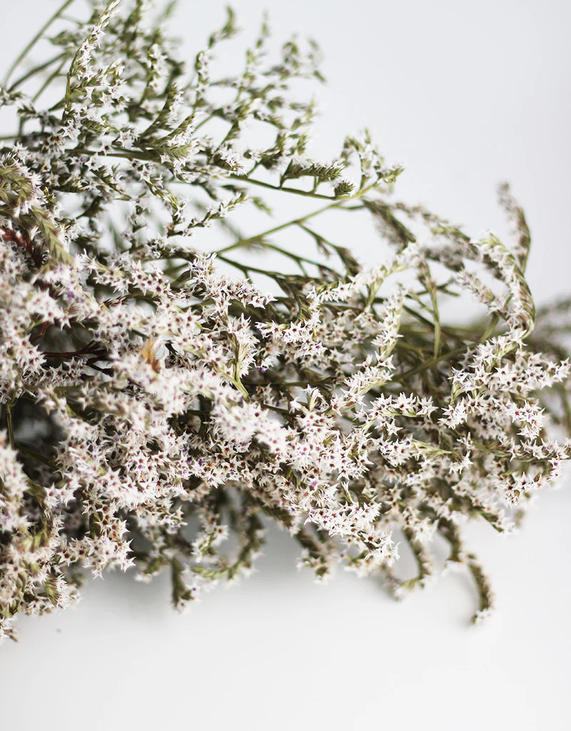 Dried Statice Tatarica Dumosa White Flowers Bunch - 100 grams, 25-30cm - Image 2