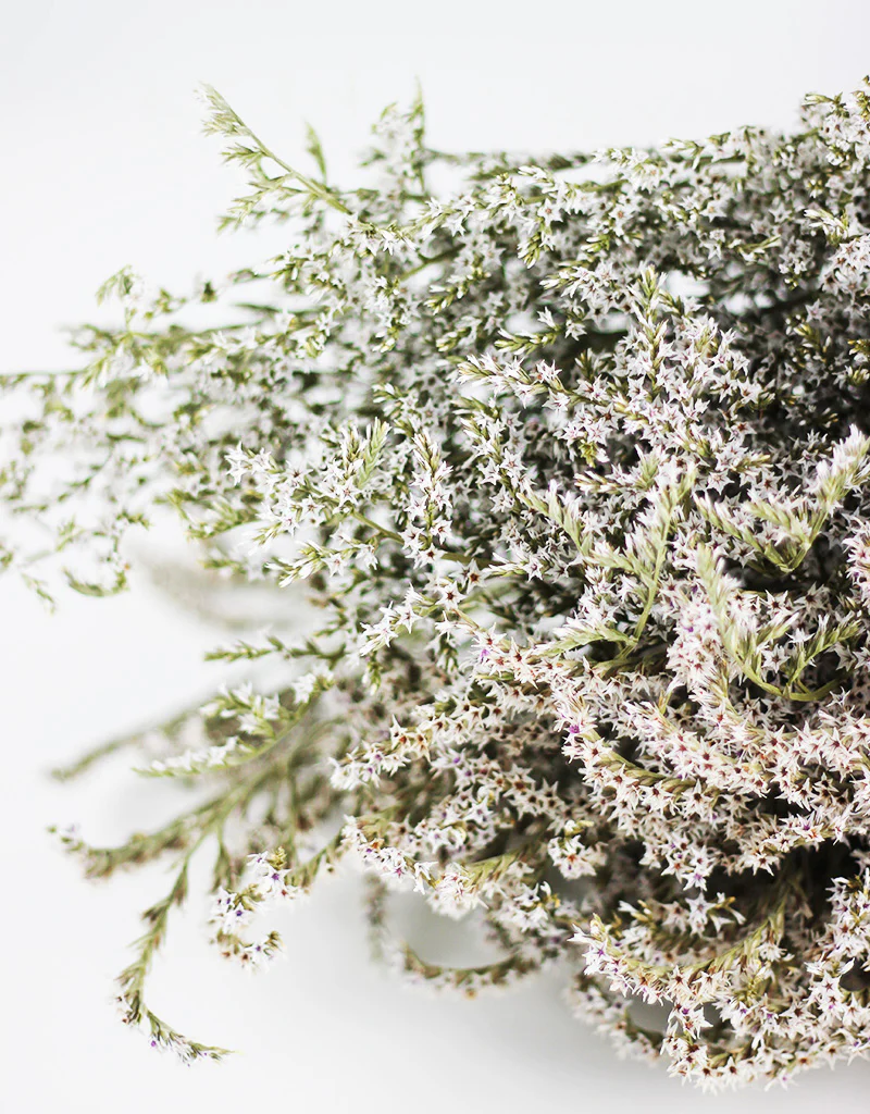 Dried Statice Tatarica Dumosa White Flowers Bunch - 100 grams, 25-30cm - Image 3
