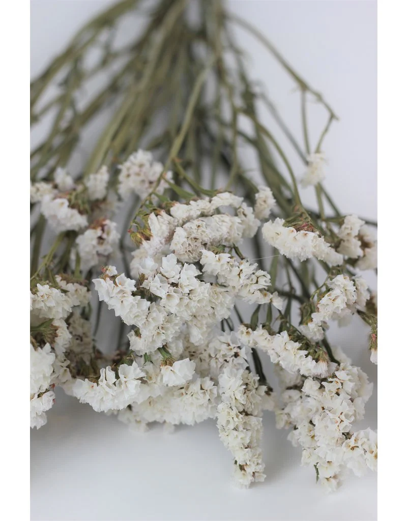 Dried Statice - White Bunch, 60 cm - Image 3