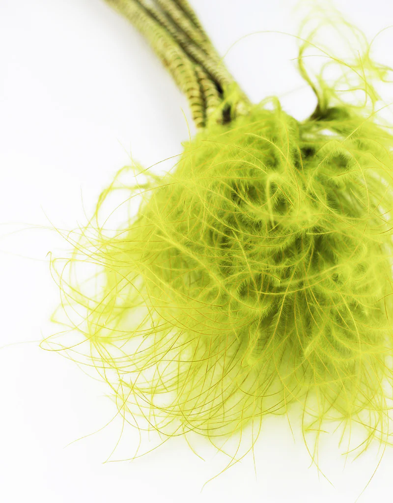 Dried Stypha Penata - Light Green Bunch, 60 cm - Image 2