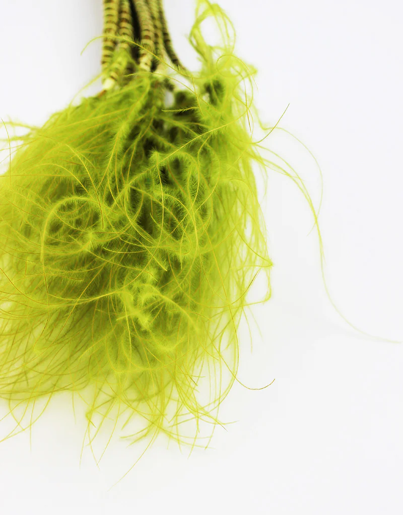 Dried Stypha Penata - Light Green Bunch, 60 cm - Image 4