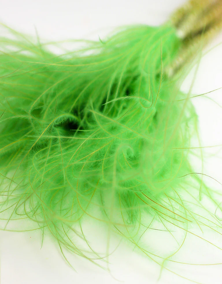 Dried Stypha Penata - Mint Green Bunch, 60 cm - Image 3