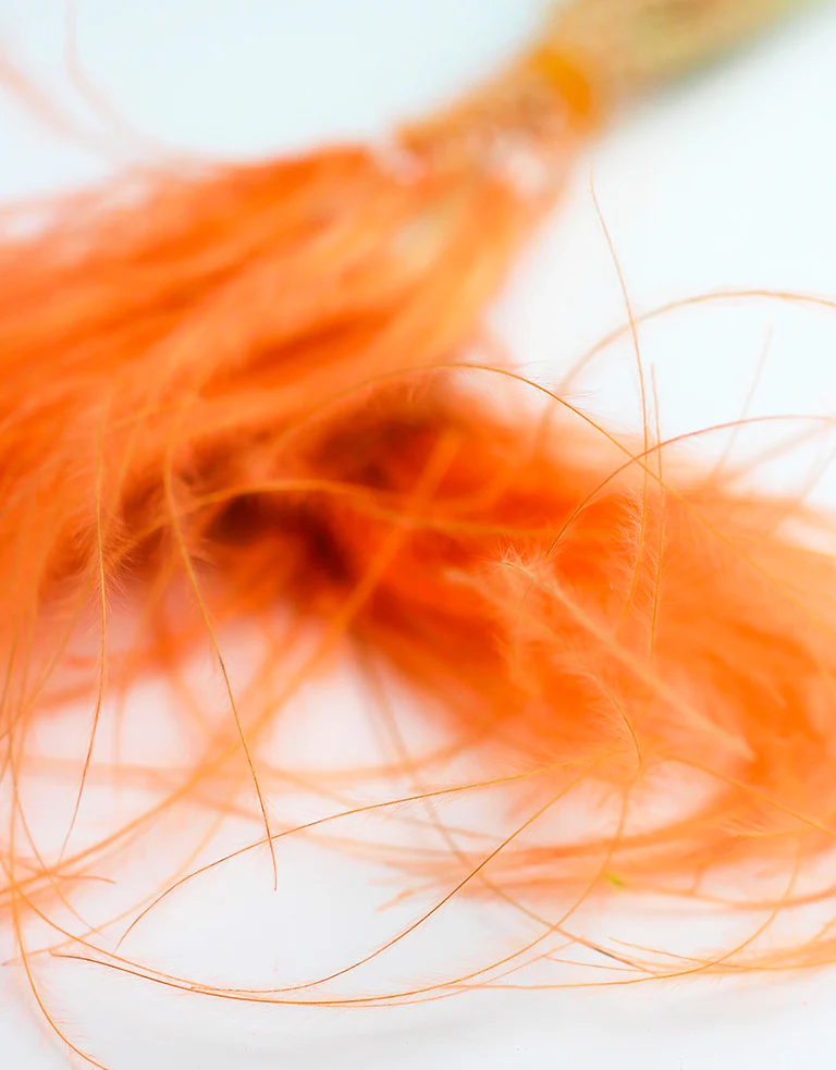 Dried Stypha Penata - Orange/ Peach Bunch, 55 cm - Image 3