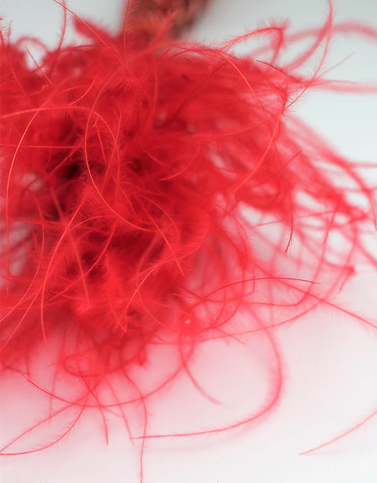 Dried Stypha Penata - Red Bunch, 55 cm - Image 3