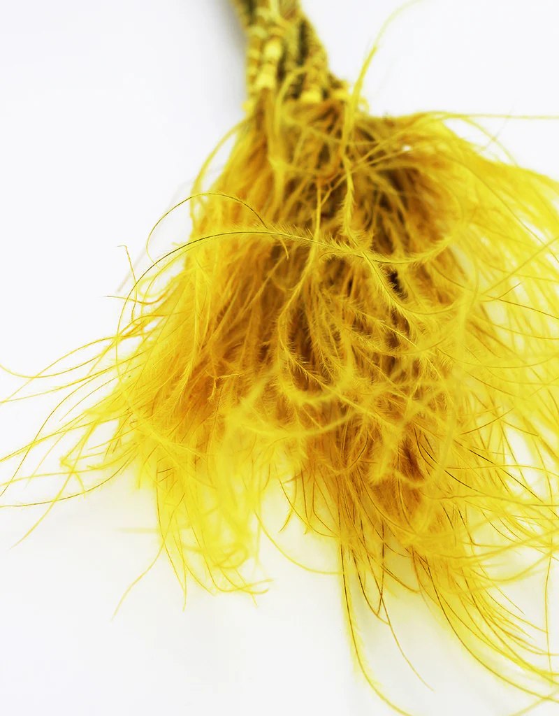 Dried Stypha Penata - Yellow bunch, 60 cm - Image 2