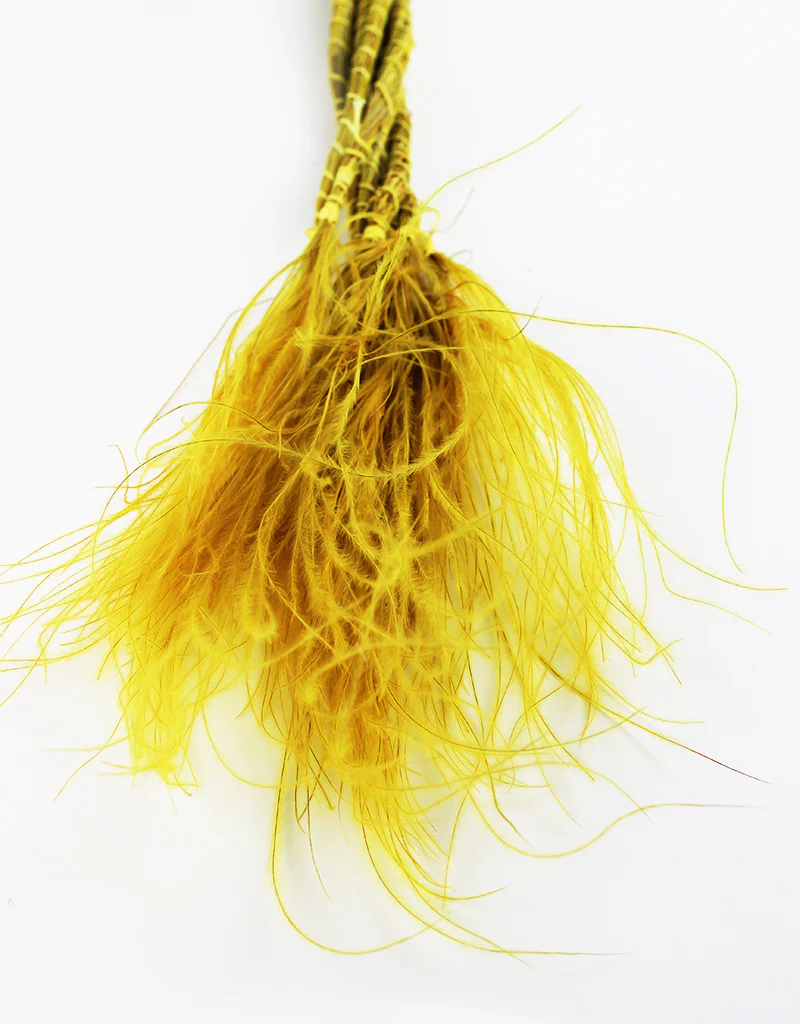 Dried Stypha Penata - Yellow bunch, 60 cm - Image 4