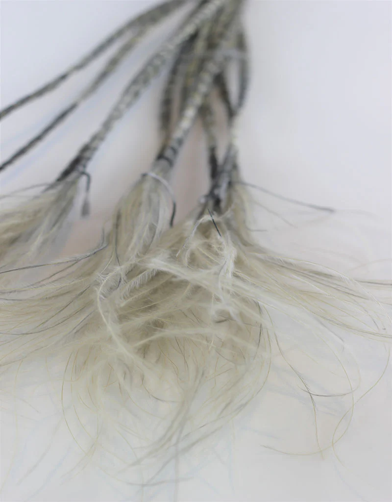 Dried Stypha Pennata - Grey Bunch, 60 cm - Image 2