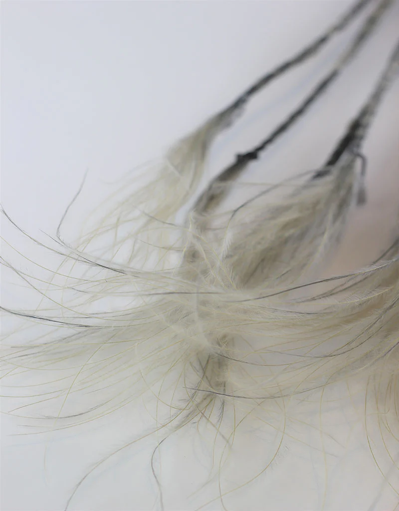 Dried Stypha Pennata - Grey Bunch, 60 cm - Image 3