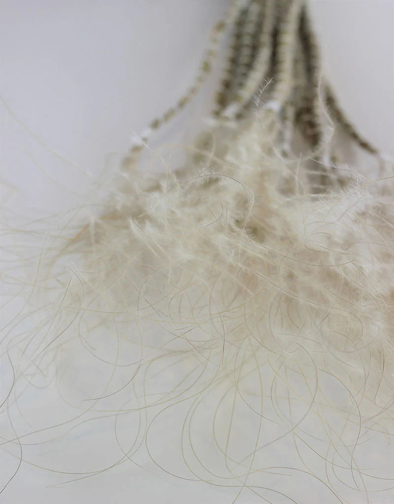 Dried Stypha Pennata - Natural Bunch, 60 cm - Image 3