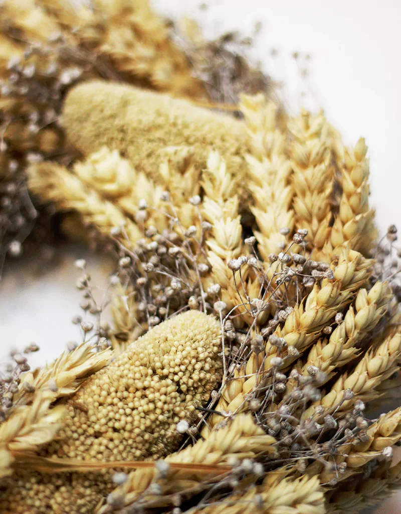 Dried Triticum & Babala Wreath - 25 cm, Bleached Door Wreath - Image 3