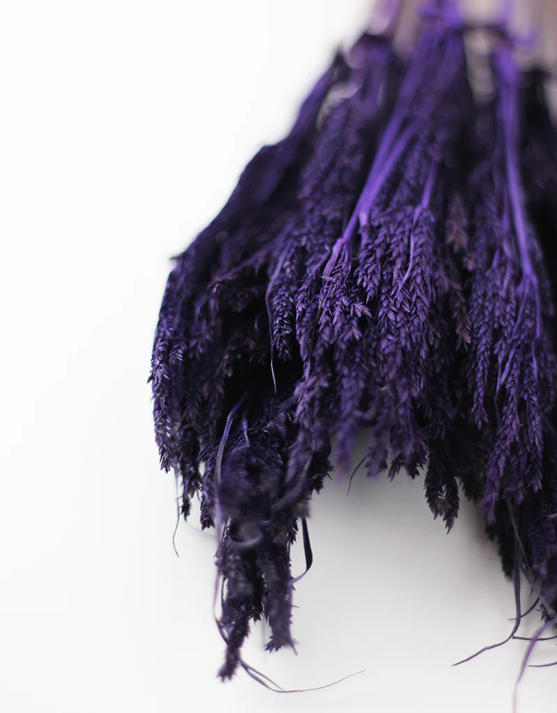 Dried Umbrella Sedge Bunch - Purple, 55 cm - Image 2