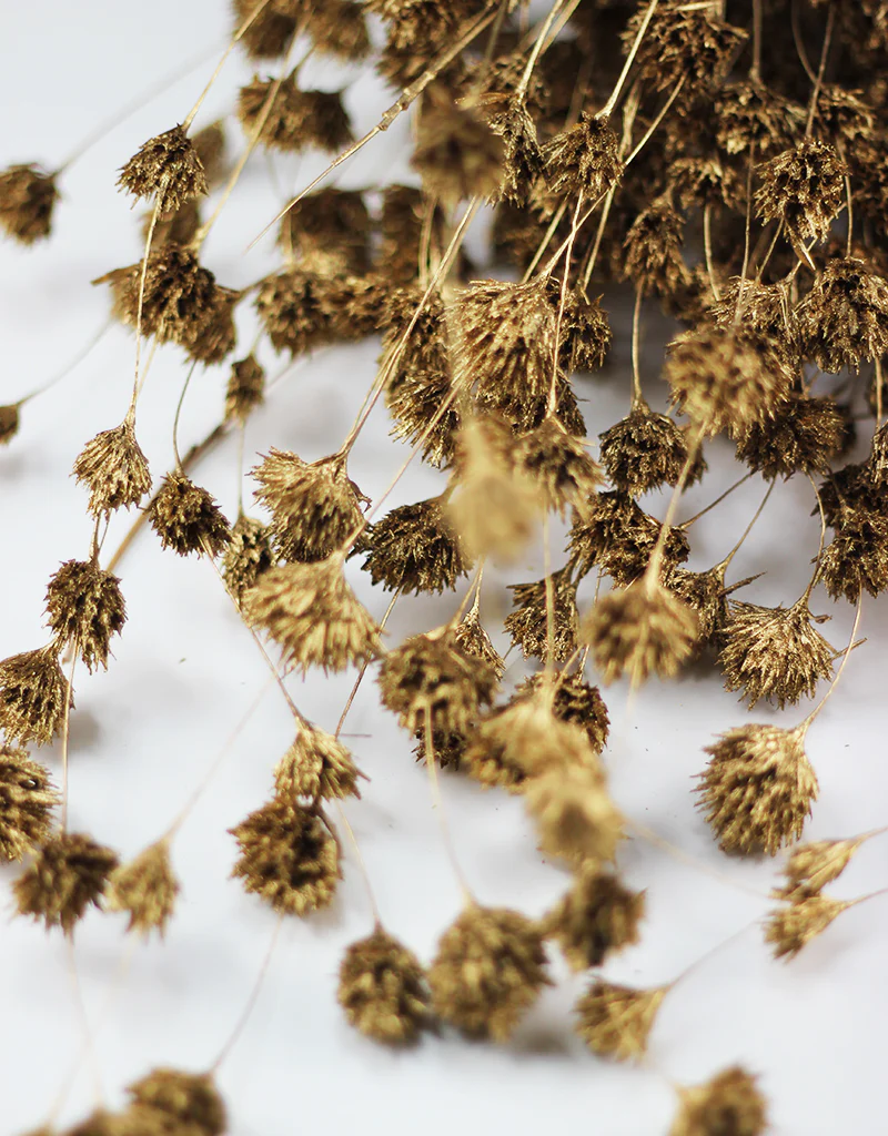 Dried Weeping Bamboo bunch - Gold, 60cm - Image 2