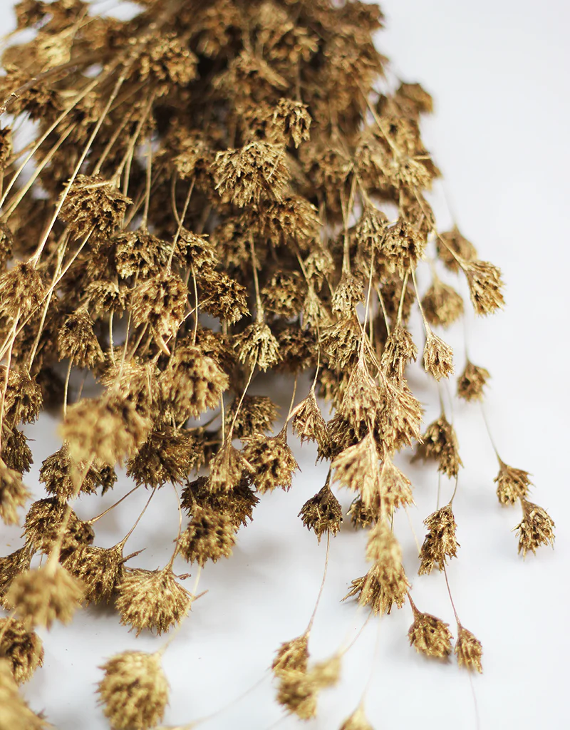 Dried Weeping Bamboo bunch - Gold, 60cm - Image 3