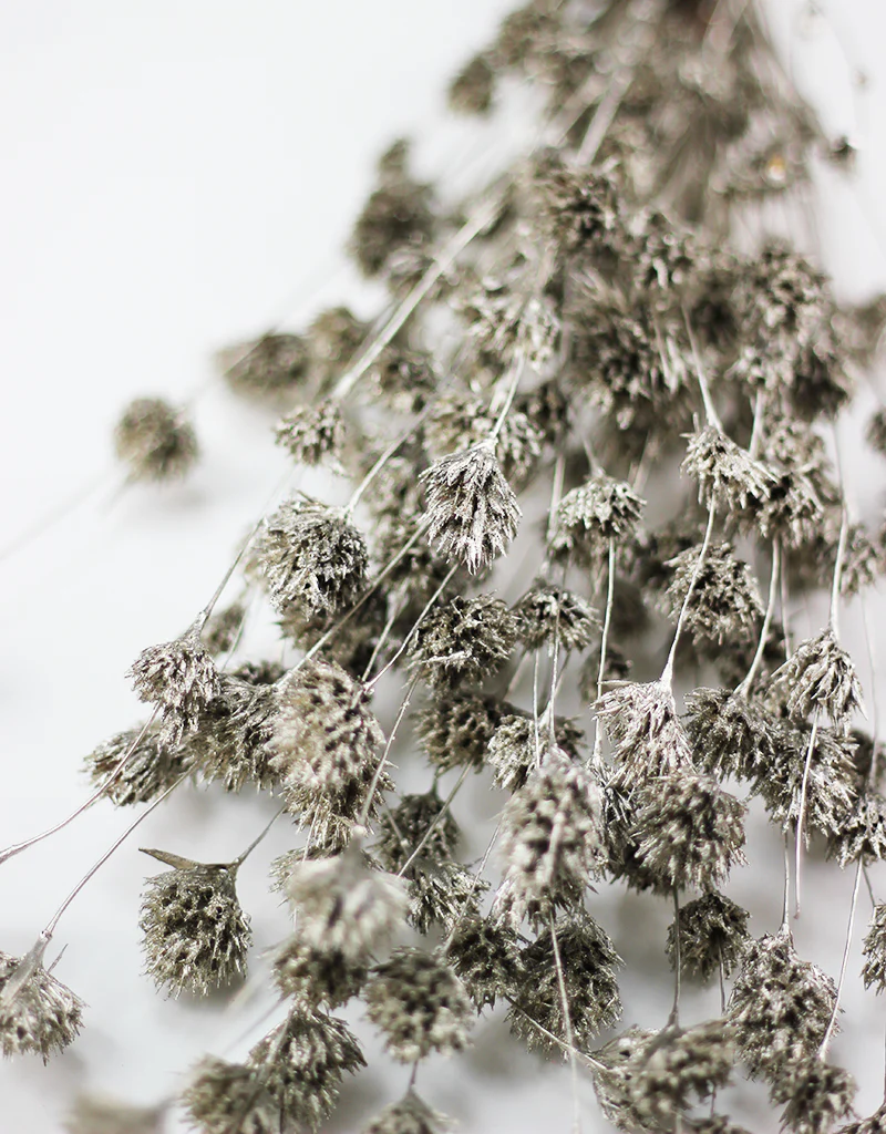 Dried Weeping Bamboo bunch - Platinum, 60cm - Image 3