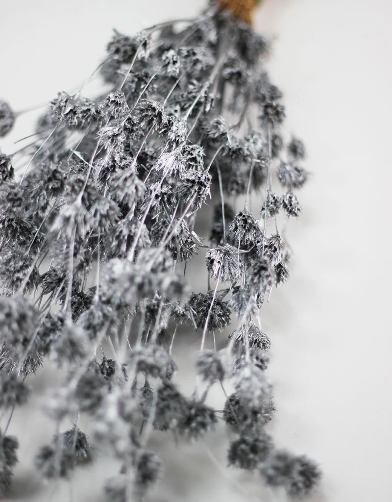 Dried Weeping Bamboo bunch - Silver, 60cm - Image 2