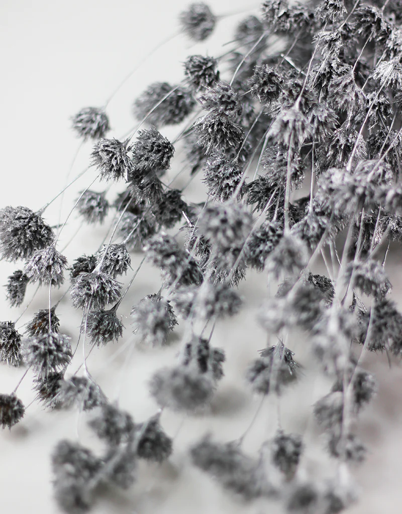 Dried Weeping Bamboo bunch - Silver, 60cm - Image 3