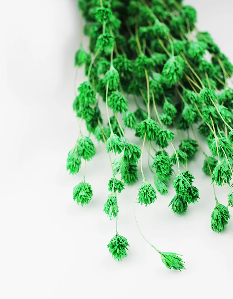 Dried Weeping Bamboo - Green Bunch, 45 cm - Image 2