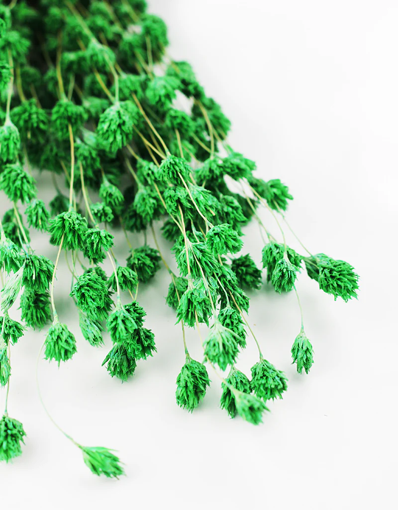 Dried Weeping Bamboo - Green Bunch, 45 cm - Image 3