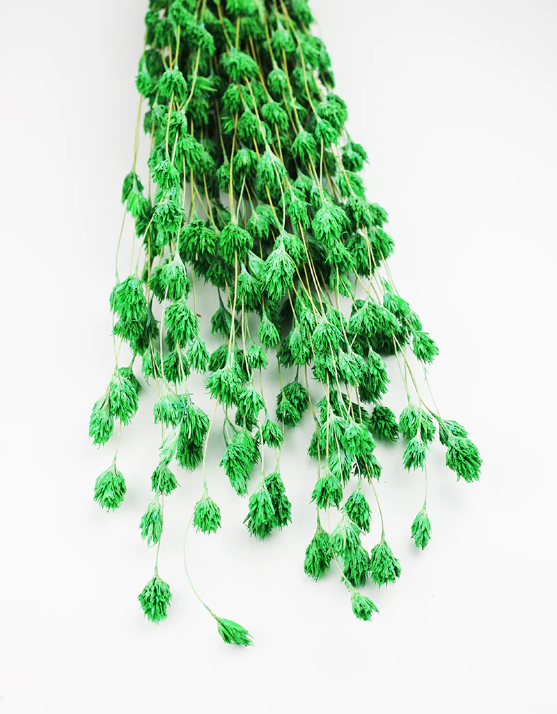 Dried Weeping Bamboo - Green Bunch, 45 cm - Image 4