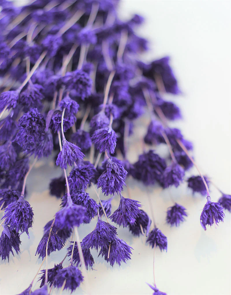 Dried Weeping Bamboo - Purple Bunch, 45 cm - Image 3